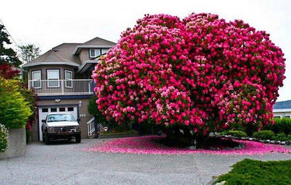 Dünyanın dört bir yanından güzel kareler 