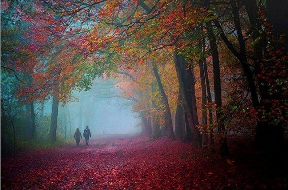 Dünyanın dört bir yanından güzel kareler 