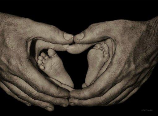 Dünyanın dört bir yanından güzel kareler 