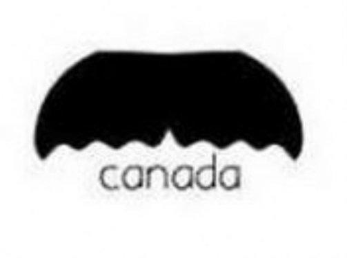 Ülke ülke bıyık şekilleri