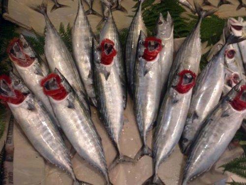 Peygamberlerin meslekleri