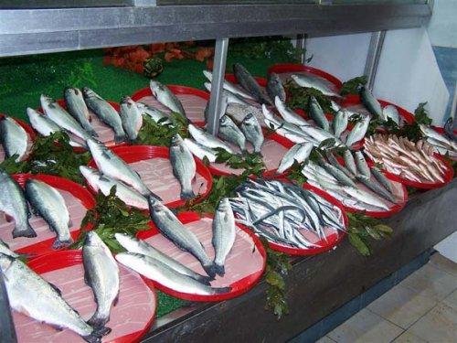 Peygamberlerin meslekleri