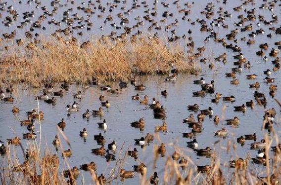 Peygamberlerin meslekleri