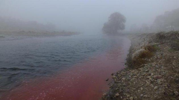 Simav Çayı kan ağlıyor