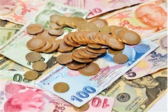 En çok değer kaybeden  paralar