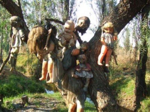 Dünyanın en korkunç adası