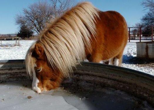 Kutup soğuğu ABD´yi vurdu