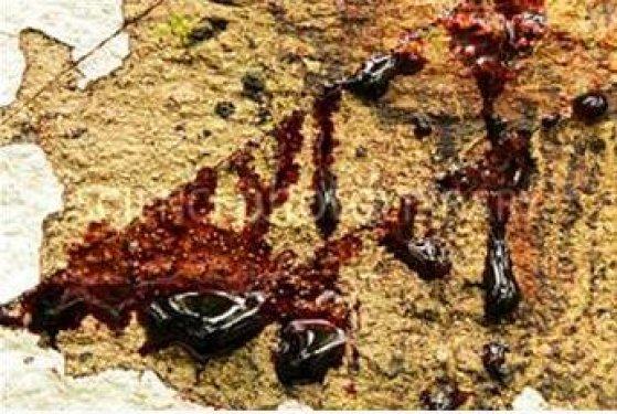 Kan ağlayan ağaç şifa dağıtıyor