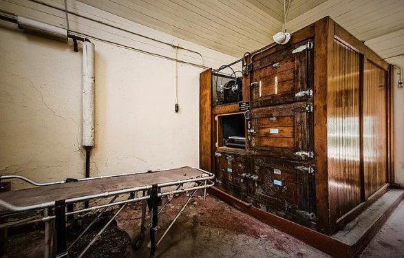 İnsanlardan sonra yaşam nasıl olacak