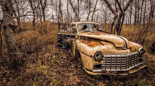 İnsanlardan sonra yaşam nasıl olacak