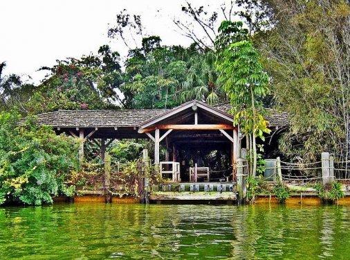 İnsanlardan sonra yaşam nasıl olacak