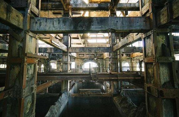 İnsanlardan sonra yaşam nasıl olacak