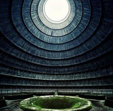 İnsanlardan sonra yaşam nasıl olacak