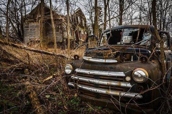 İnsanlardan sonra yaşam nasıl olacak