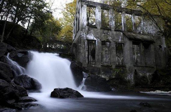 İnsanlardan sonra yaşam nasıl olacak