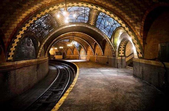 İnsanlardan sonra yaşam nasıl olacak