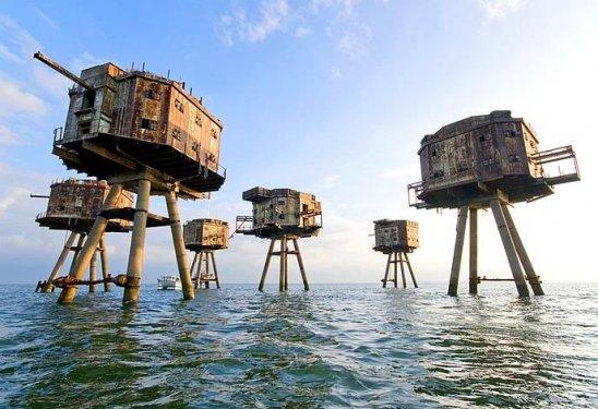 İnsanlardan sonra yaşam nasıl olacak