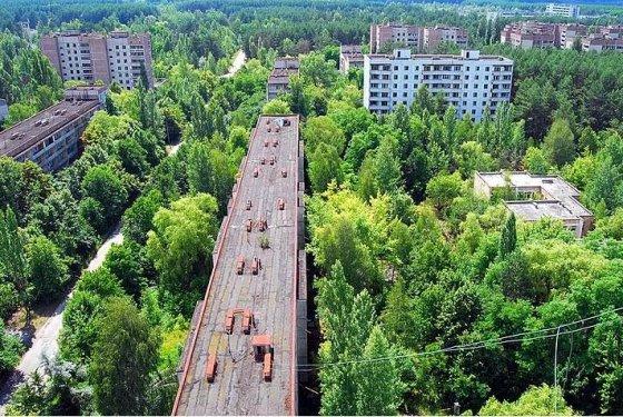 İnsanlardan sonra yaşam nasıl olacak