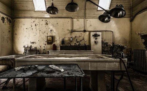 İnsanlardan sonra yaşam nasıl olacak