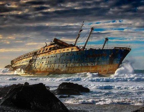 İnsanlardan sonra yaşam nasıl olacak