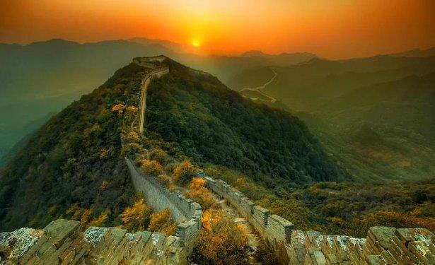 İnsanlardan sonra yaşam nasıl olacak