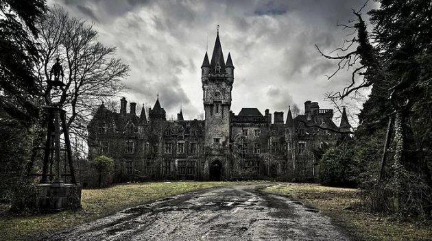 İnsanlardan sonra yaşam nasıl olacak