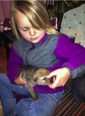 En iyi dostu bir çakal