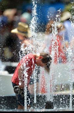 Avusturalya'da sıcaklık 45 dereceye kadar çıktı