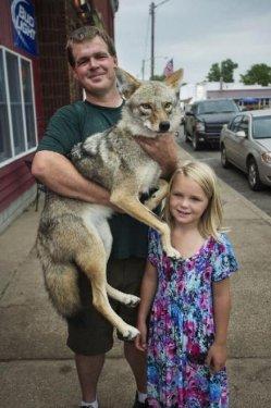 En iyi dostu bir çakal