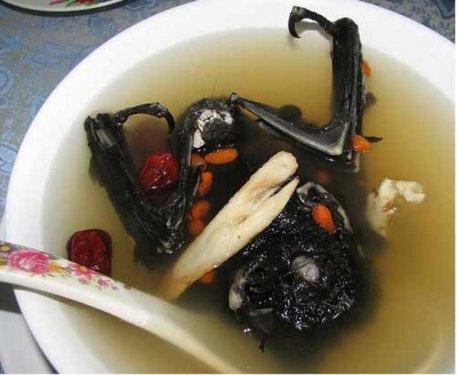 Aç kalmayı tercih edeceğiniz en iğrenç yemekler