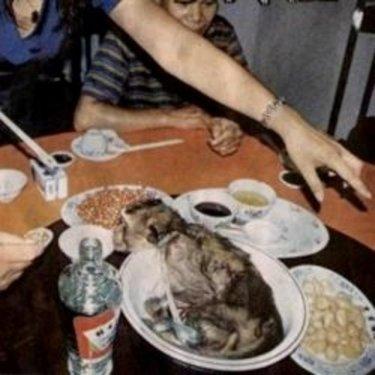 Aç kalmayı tercih edeceğiniz en iğrenç yemekler