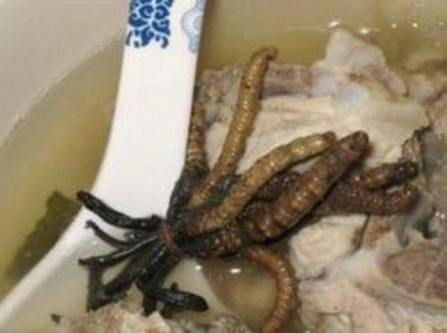 Aç kalmayı tercih edeceğiniz en iğrenç yemekler