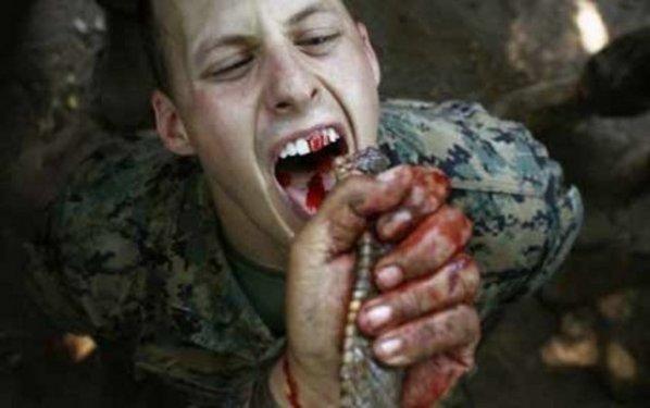 Aç kalmayı tercih edeceğiniz en iğrenç yemekler