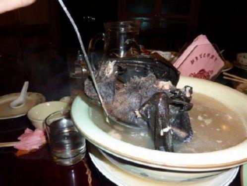 Aç kalmayı tercih edeceğiniz en iğrenç yemekler