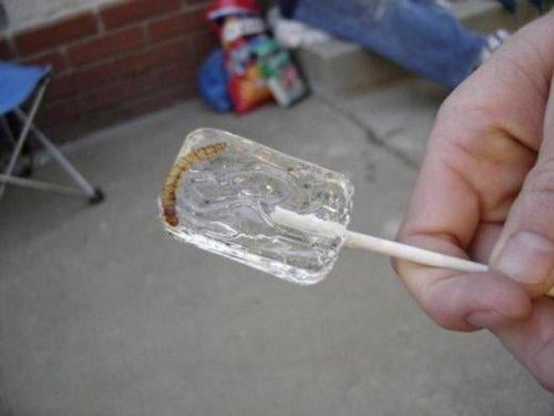 Aç kalmayı tercih edeceğiniz en iğrenç yemekler