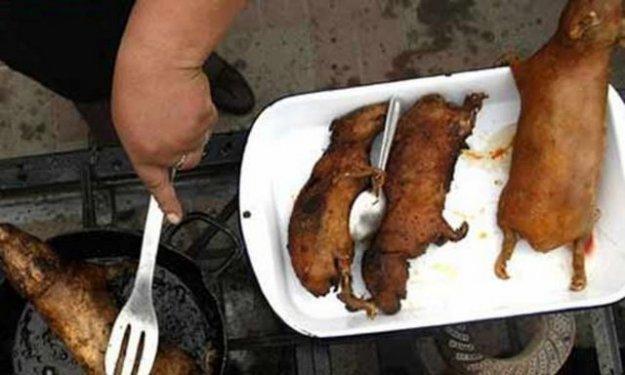 Aç kalmayı tercih edeceğiniz en iğrenç yemekler