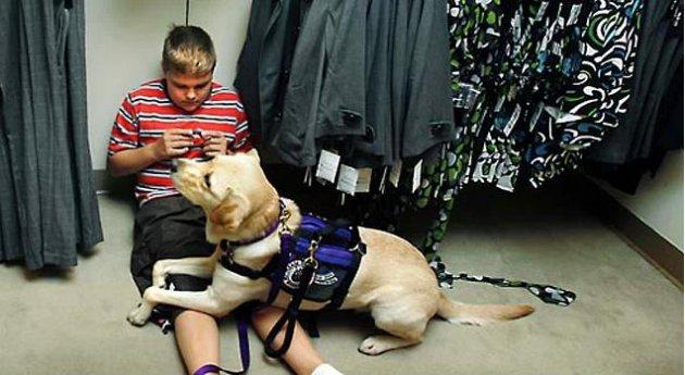 Köpeklerin hayatımızdaki yeri  - Resim 17