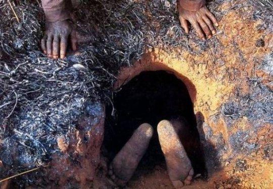 Afrikalı yerliler pitonu elleriyle yakaladı