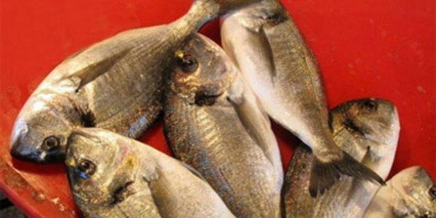 Vücut geliştirenler için en iyi 10 mineral