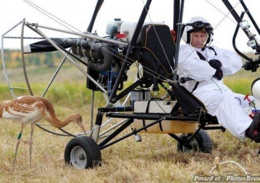 Politikanın ciddiyetini kaybettiği komik anlar