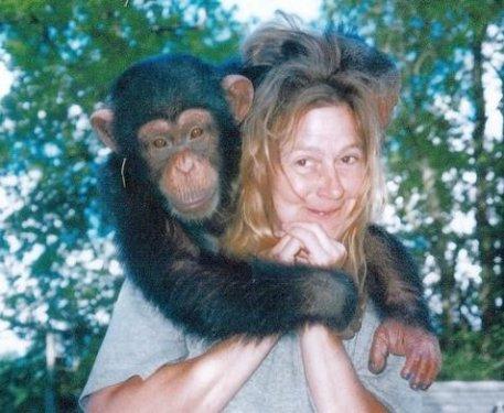 Bir şempanze bu kadının hayatını mahvetti