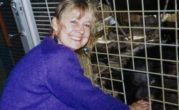 Bir şempanze bu kadının hayatını mahvetti