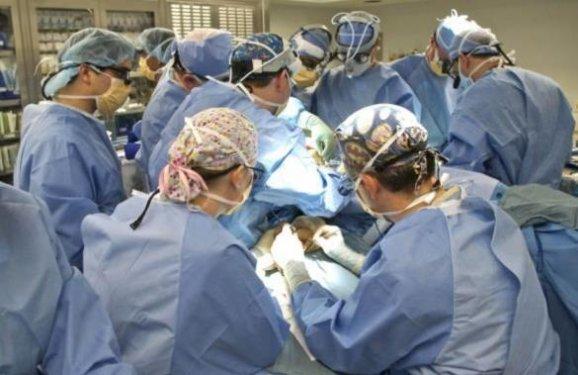 Bir şempanze bu kadının hayatını mahvetti