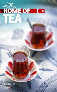 2014 Türkiye'nin tanıtım afişleri