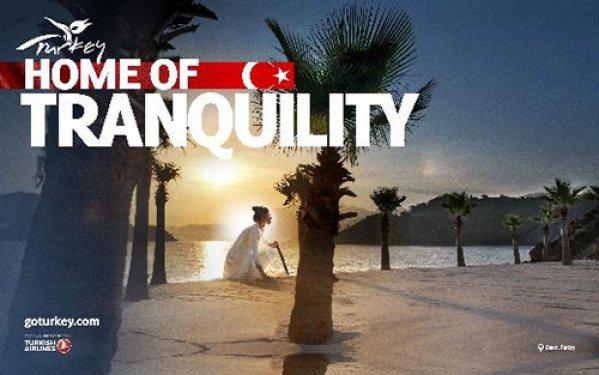 2014 Türkiye'nin tanıtım afişleri