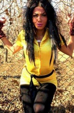 Bunlar da  İran'ın kedicikleri 