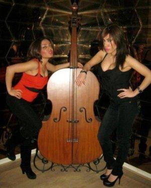 Bunlar da  İran'ın kedicikleri 