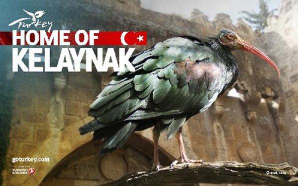 2014 Türkiye'nin tanıtım afişleri