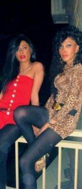 Bunlar da  İran'ın kedicikleri 