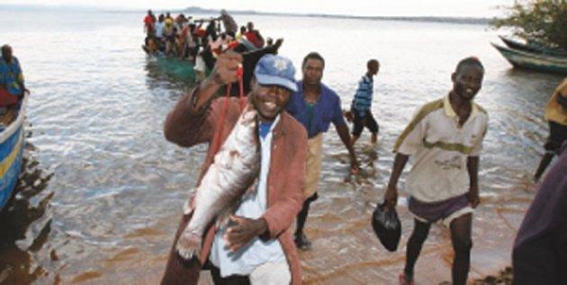 Afrika'da Victoria Gölü üzerinde bulunan Mgingo adası çok kalabalık